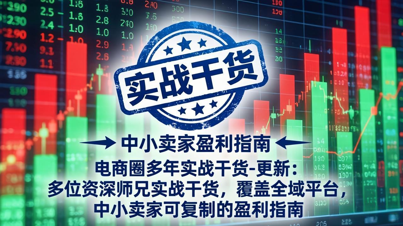 （18398期）电商圈多年实战干货-更新5月10：多位资深师兄实战干货/覆盖全域平台，中小卖家可复制的盈利指南-副业小助手-全网项目库